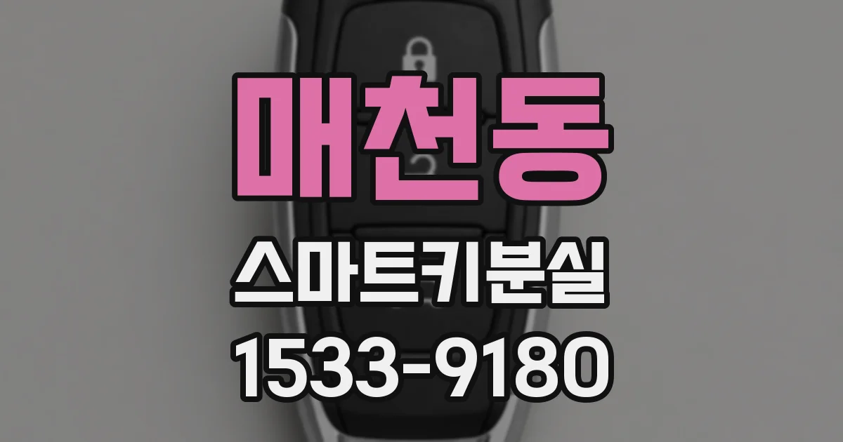 매천동 스마트키분실