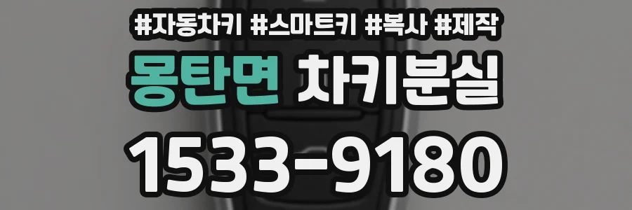 몽탄면 차키분실