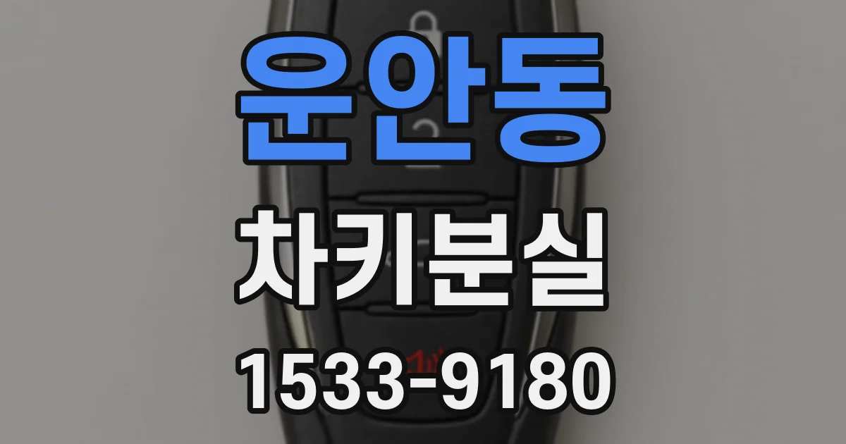 운안동 차키분실