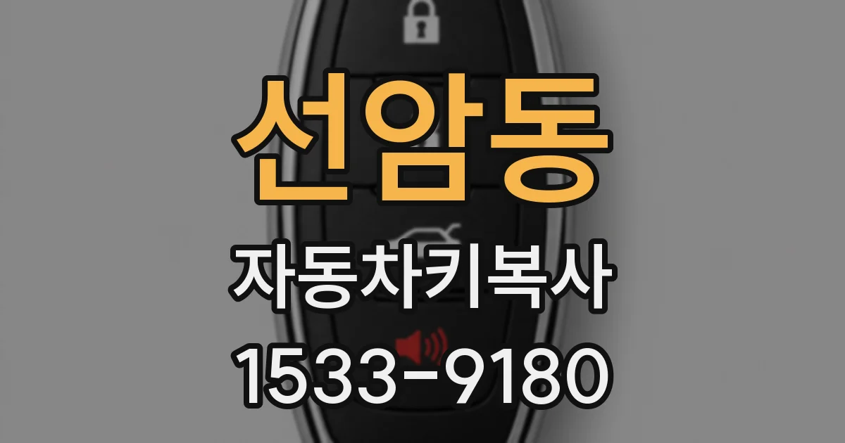 선암동 자동차키복사
