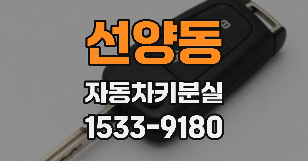 선양동 자동차키분실
