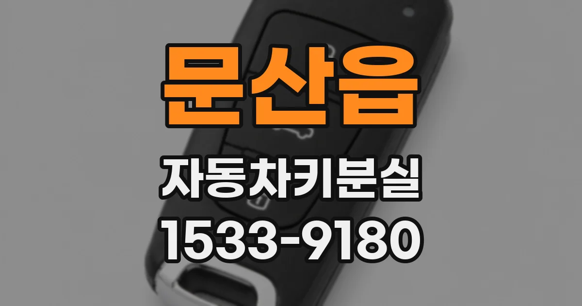 문산읍 자동차키분실
