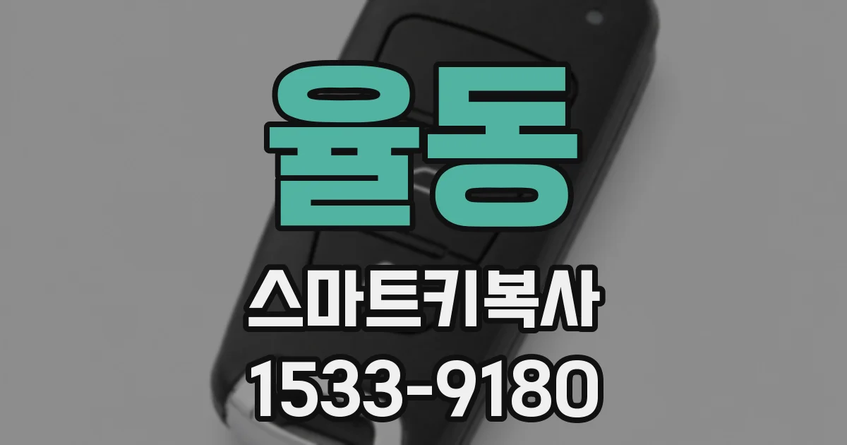율동 스마트키복사