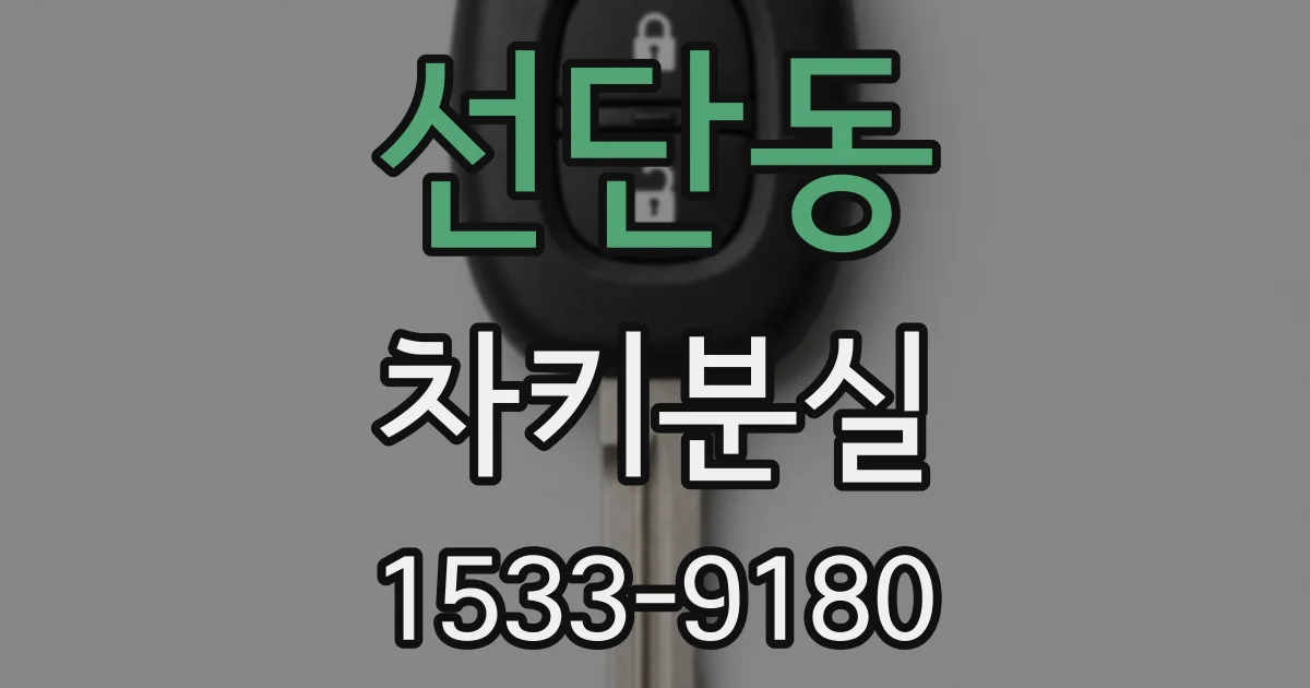 선단동 차키분실