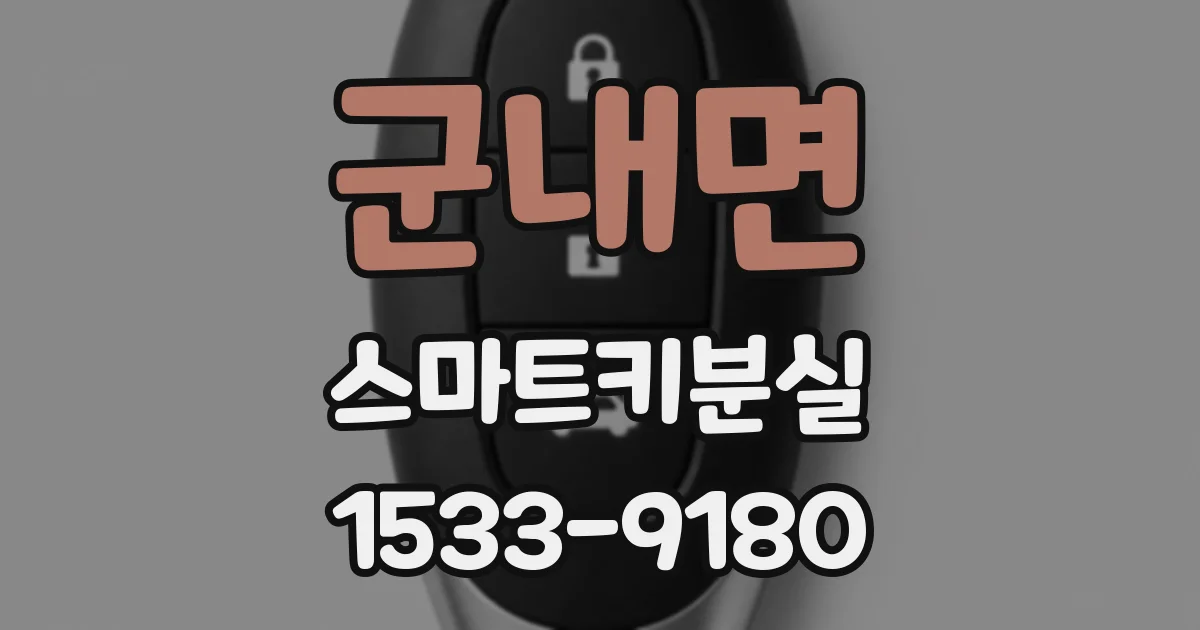 군내면 스마트키분실