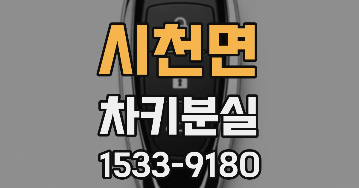시천면 차키분실