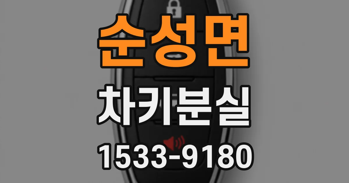 순성면 차키분실