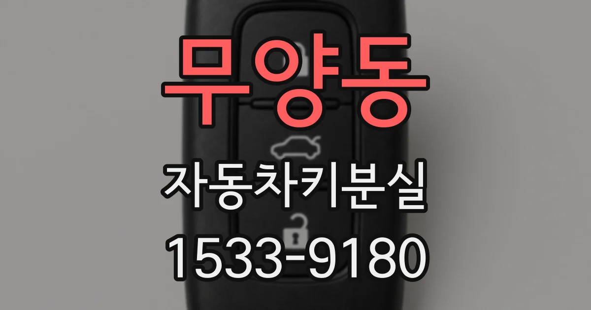 무양동 자동차키분실