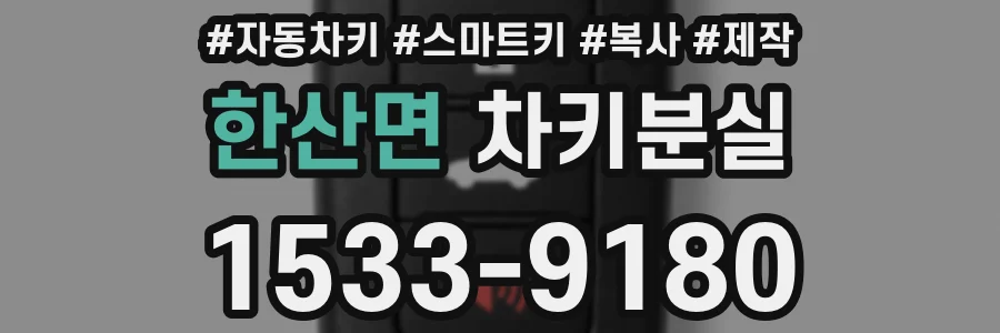 한산면 차키분실
