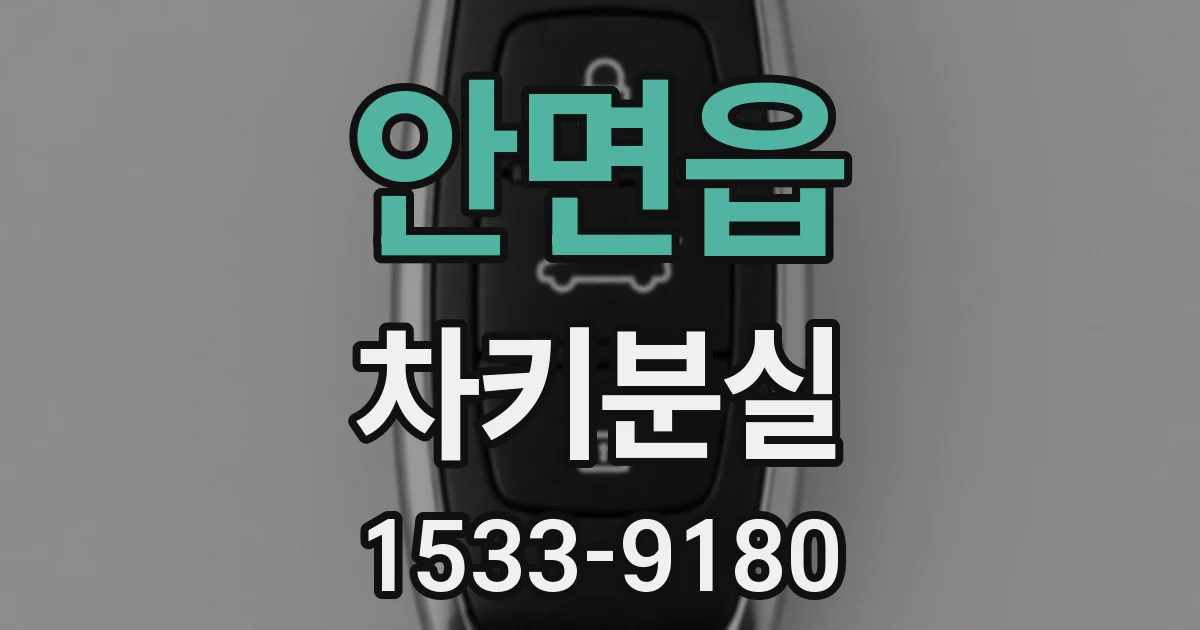 안면읍 차키분실