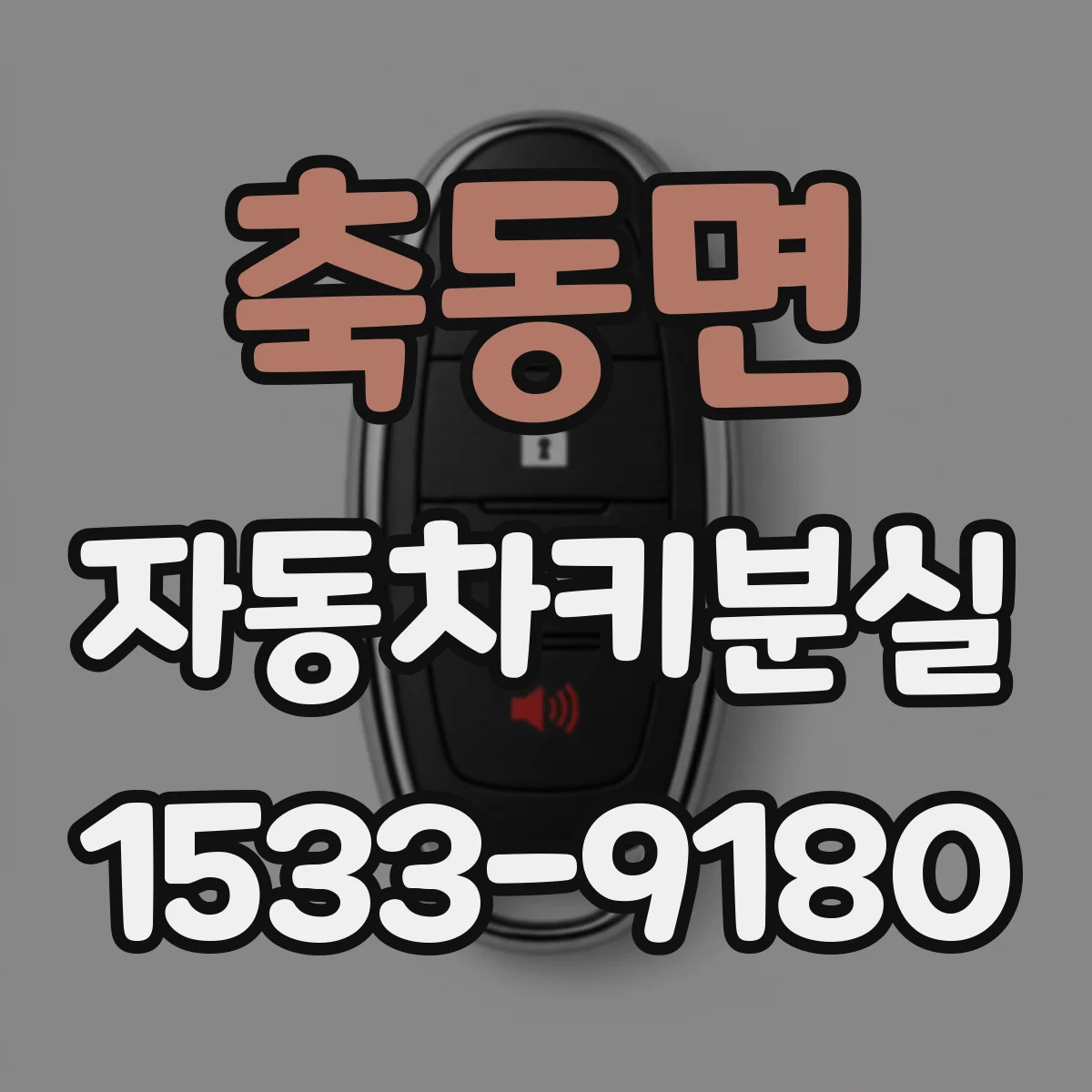 축동면 자동차키분실