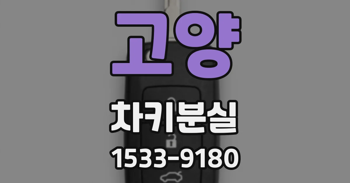고양 차키분실