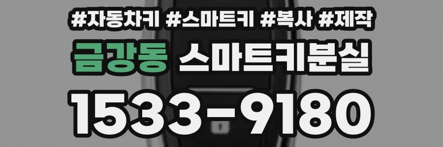 금강동 스마트키분실