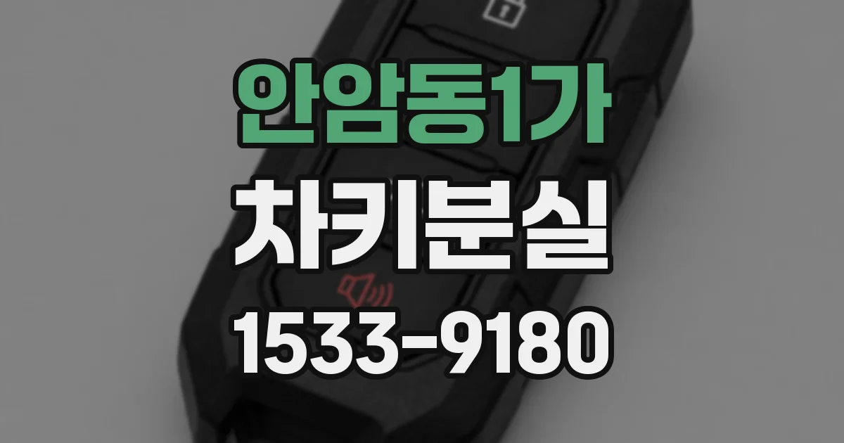 안암동1가 차키분실