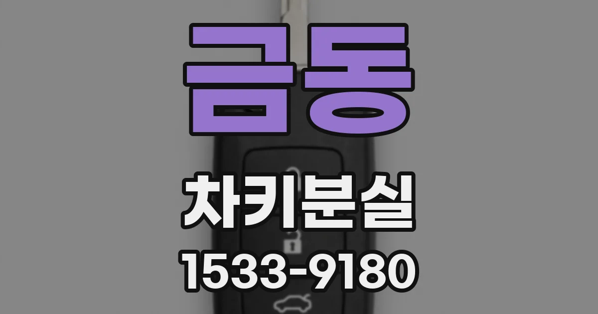 금동 차키분실