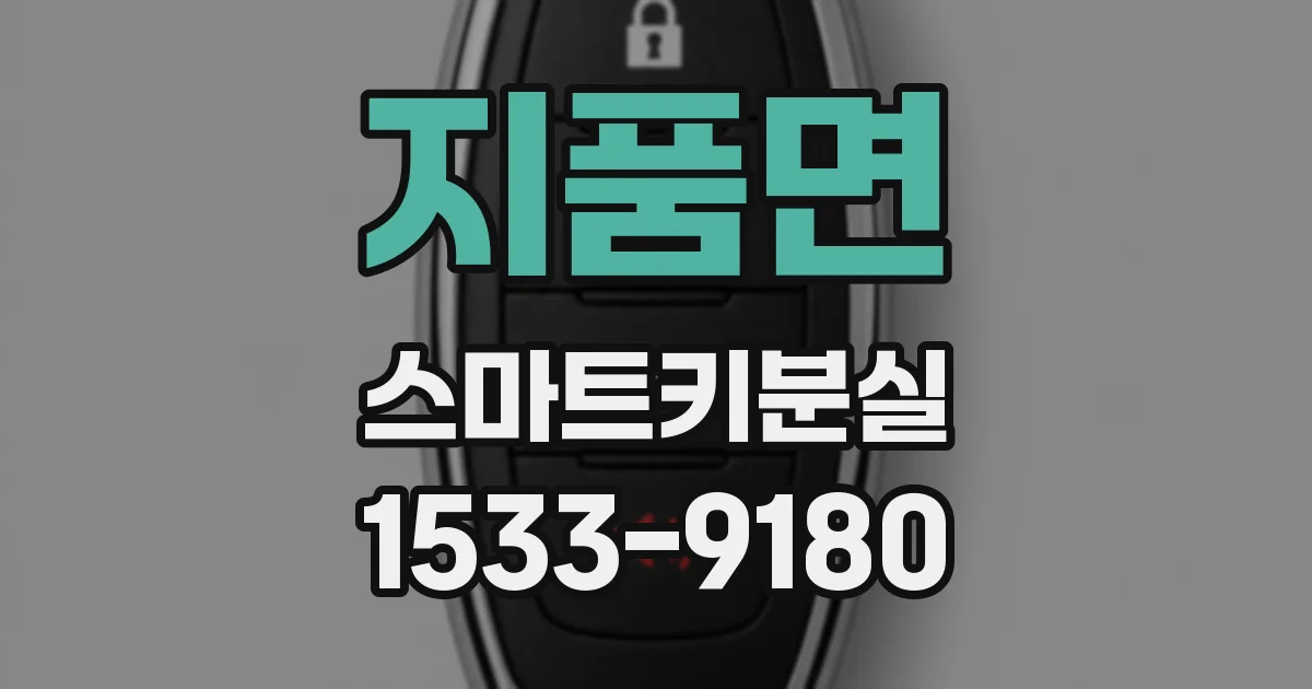 지품면 스마트키분실