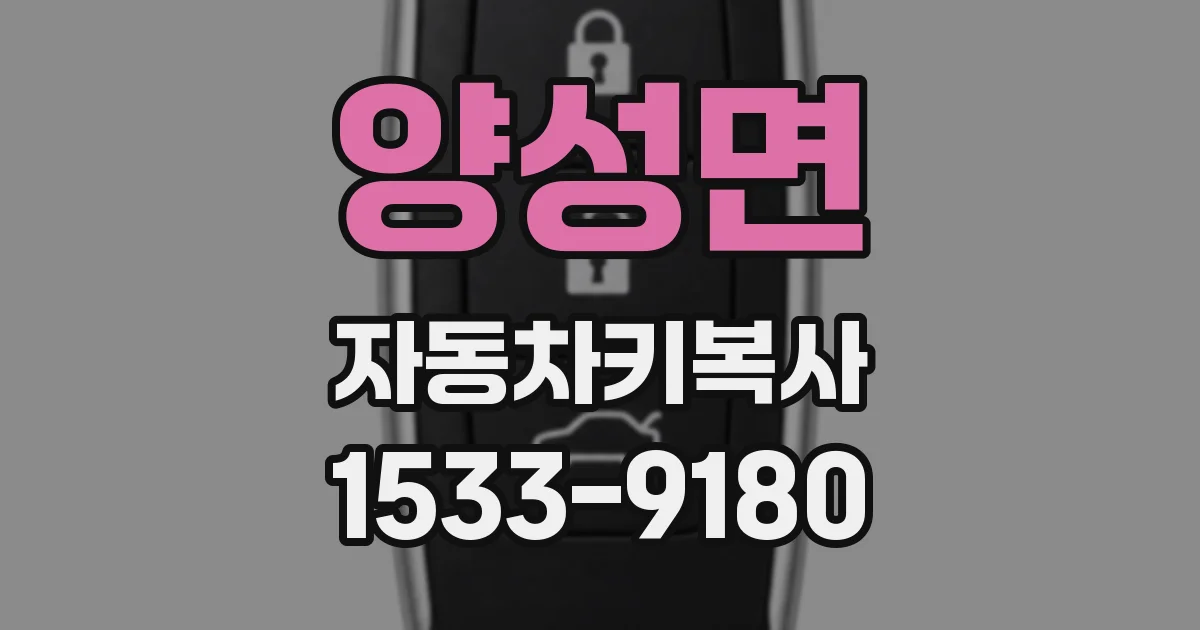 양성면 자동차키복사