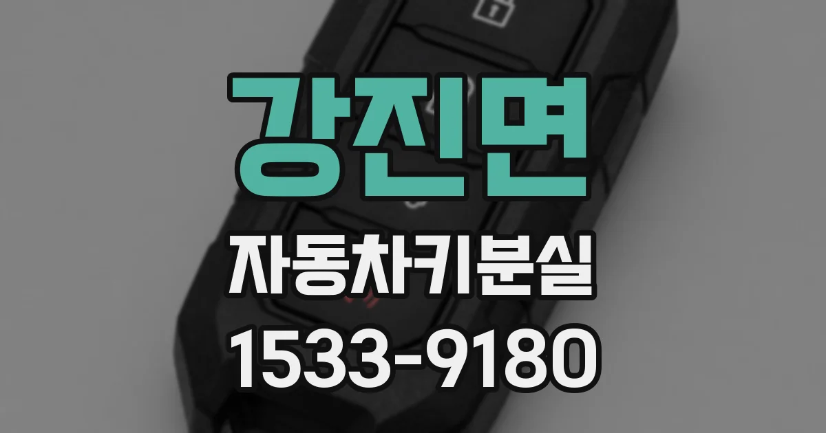 강진면 자동차키분실