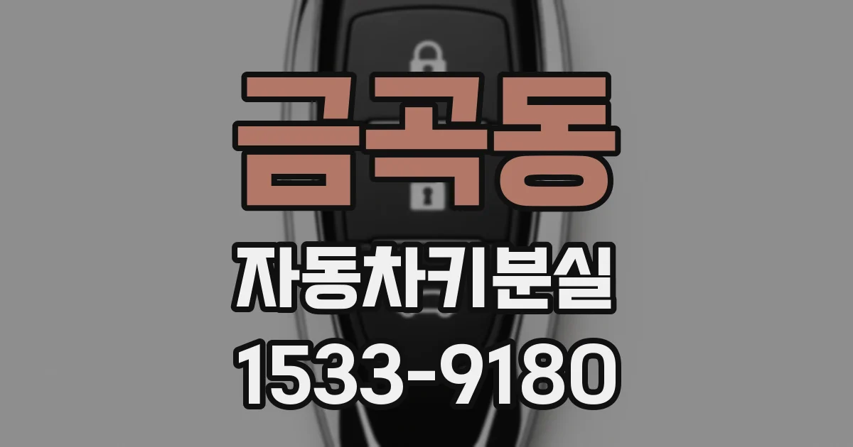 금곡동 자동차키분실