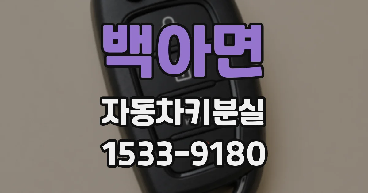 백아면 자동차키분실