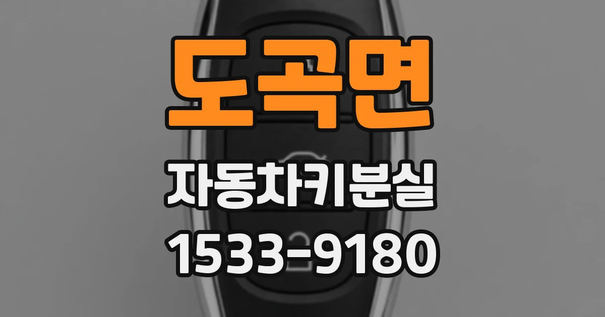 도곡면 자동차키분실