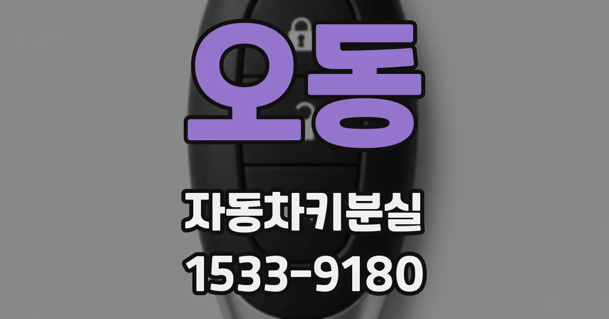 오동 자동차키분실
