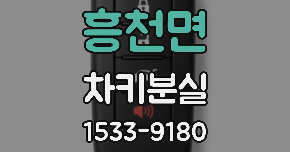 흥천면 차키분실