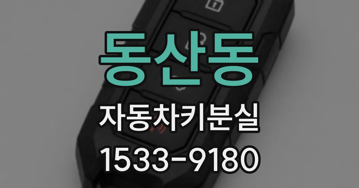 동산동 자동차키분실