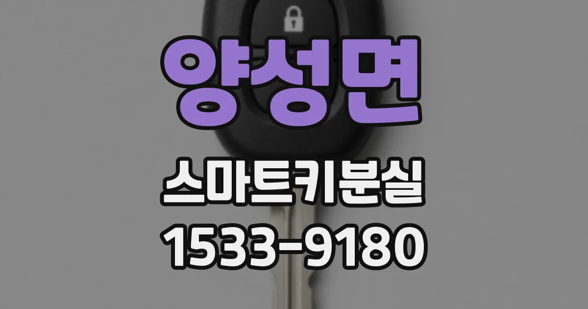 양성면 스마트키분실