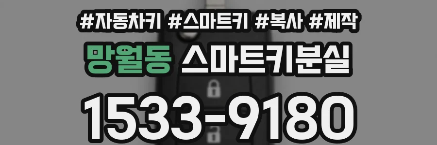 망월동 스마트키분실