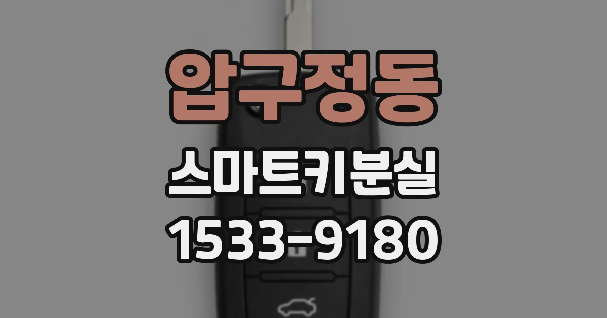 압구정동 스마트키분실