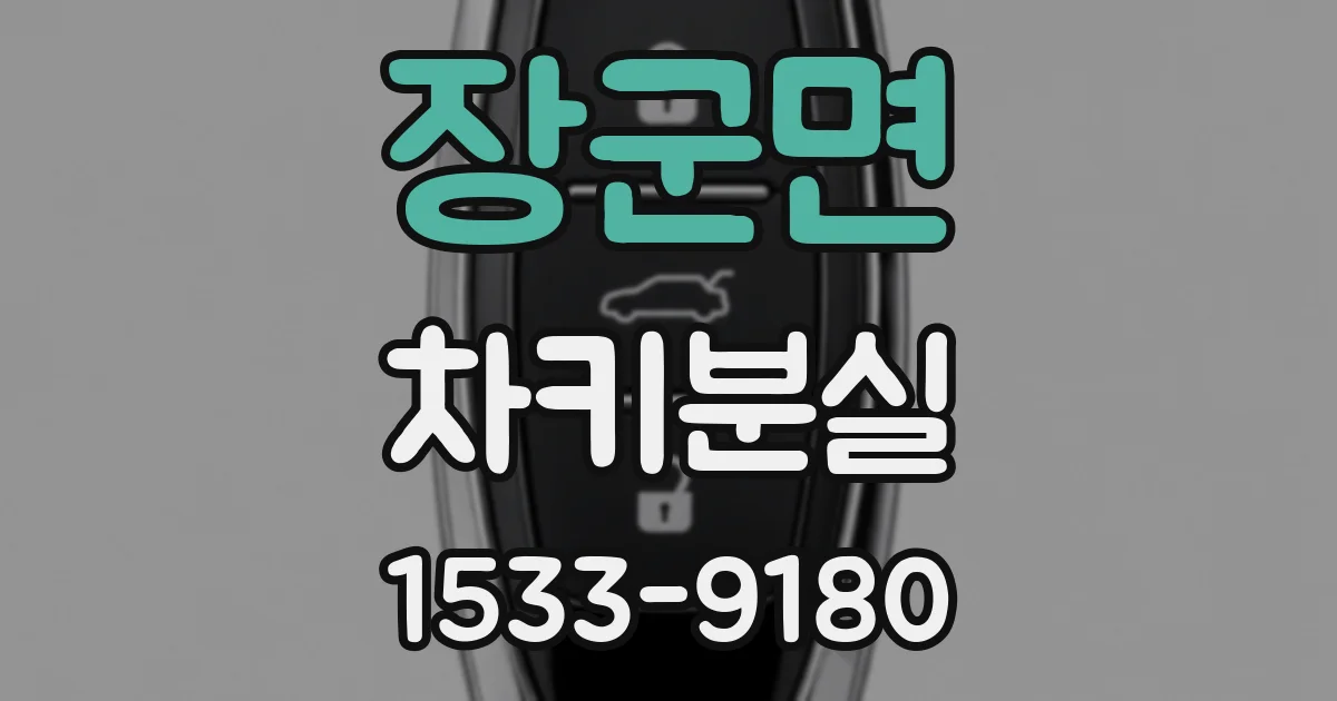 장군면 차키분실