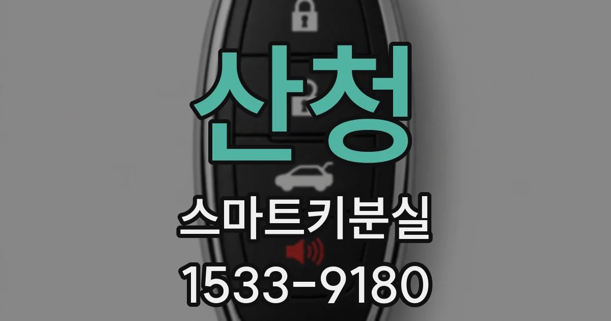 산청 스마트키분실