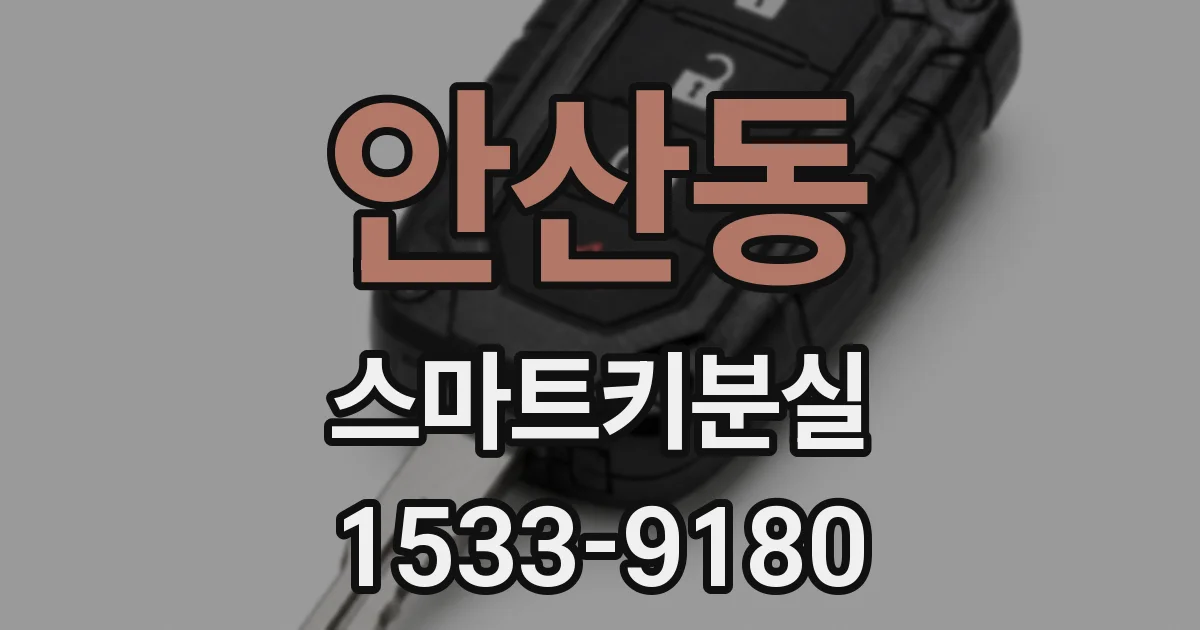 안산동 스마트키분실