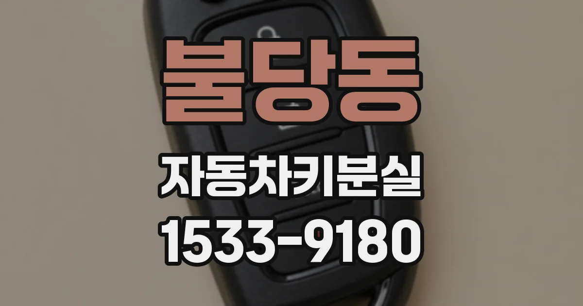 불당동 자동차키분실