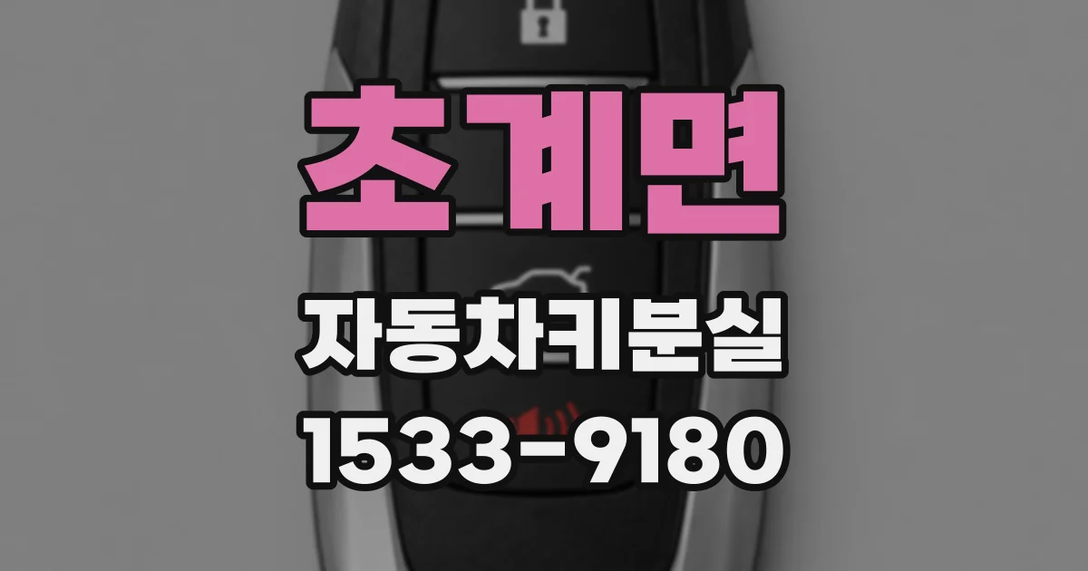 초계면 자동차키분실