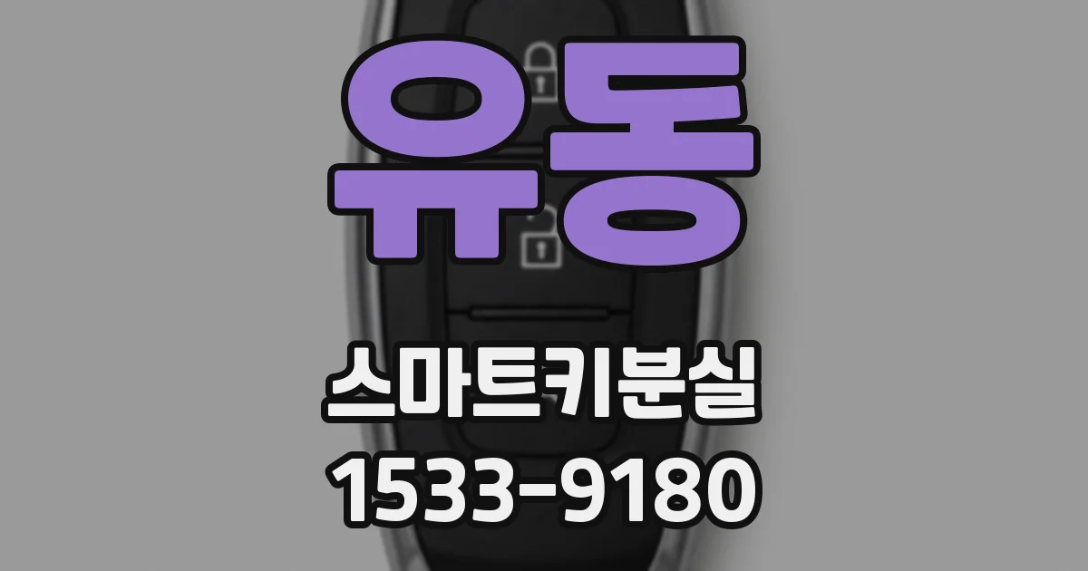 유동 스마트키분실