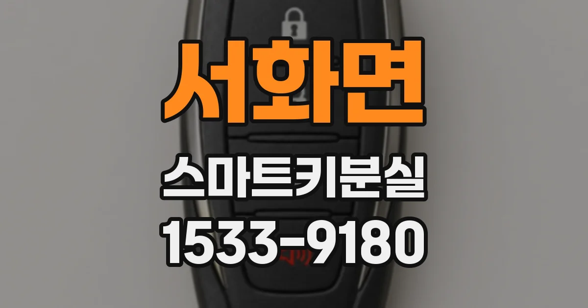 서화면 스마트키분실