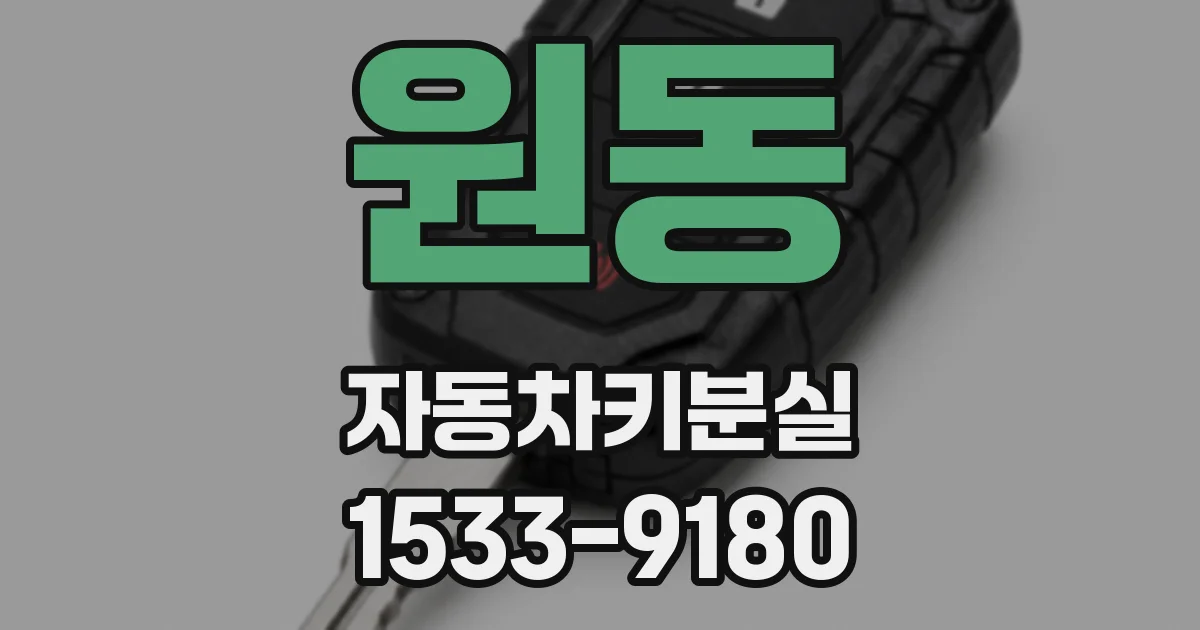 원동 자동차키분실
