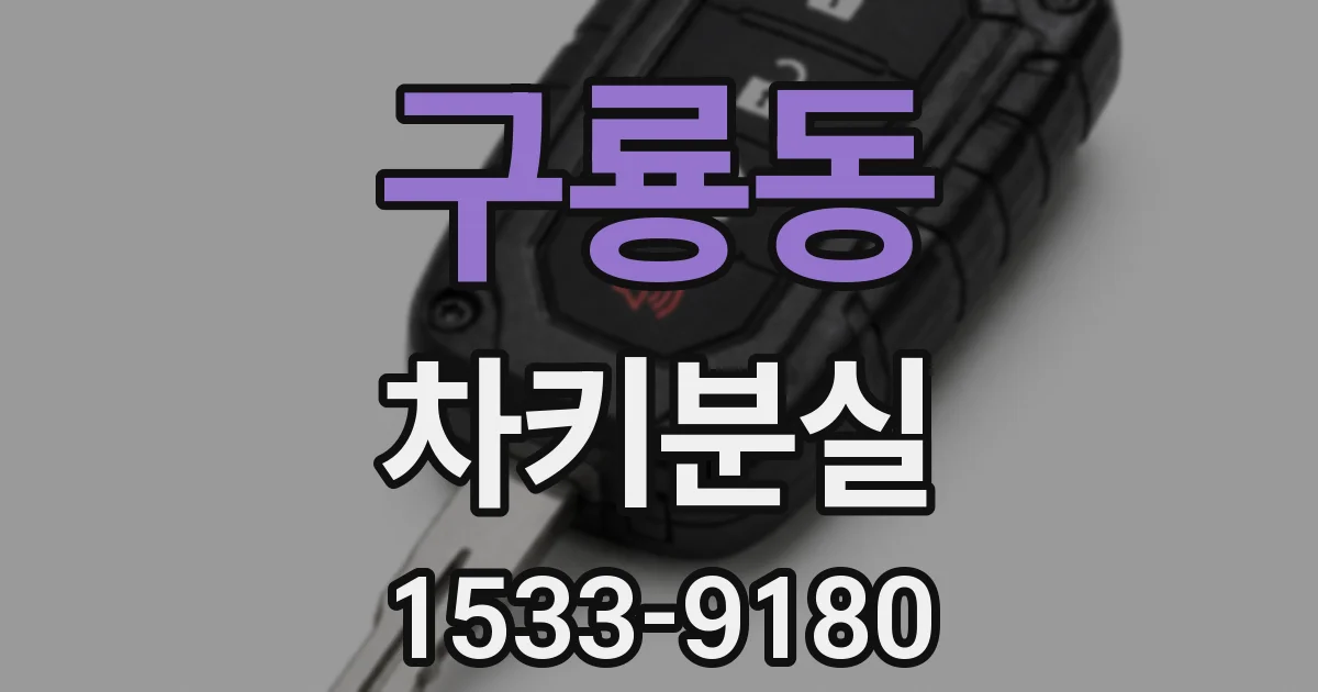 구룡동 차키분실