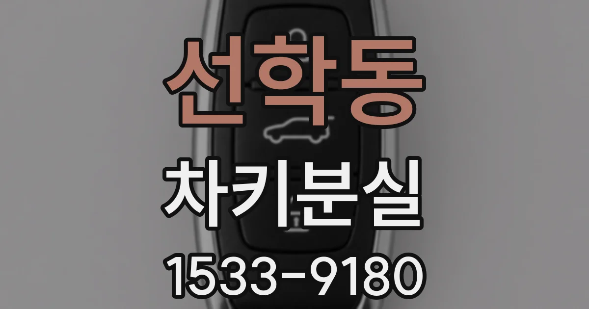 선학동 차키분실