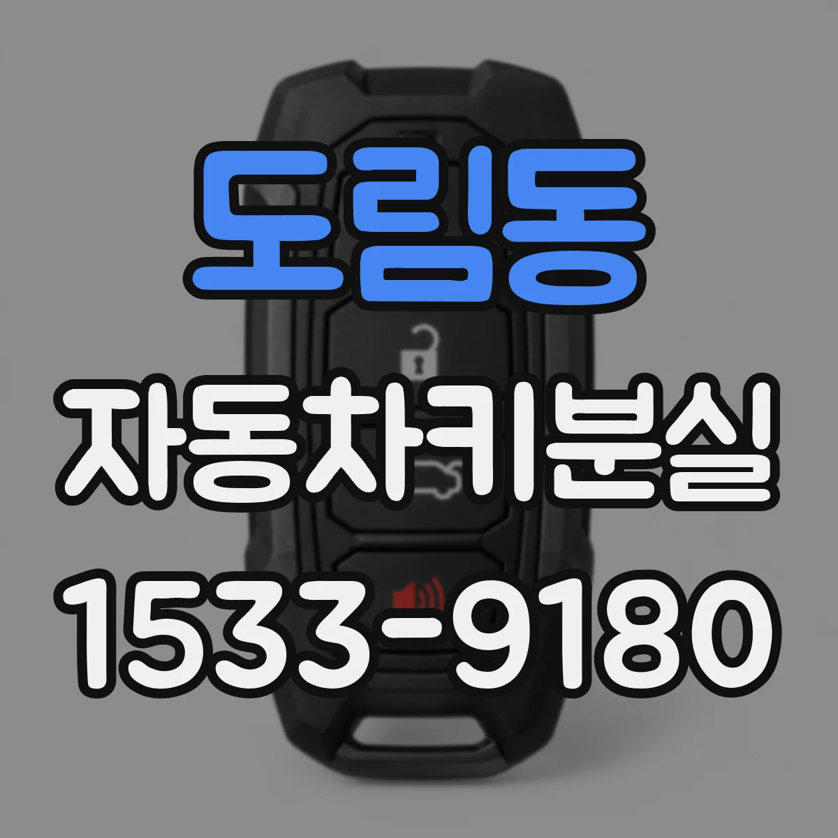 도림동 자동차키분실