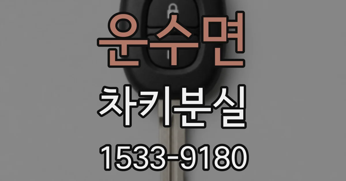 운수면 차키분실