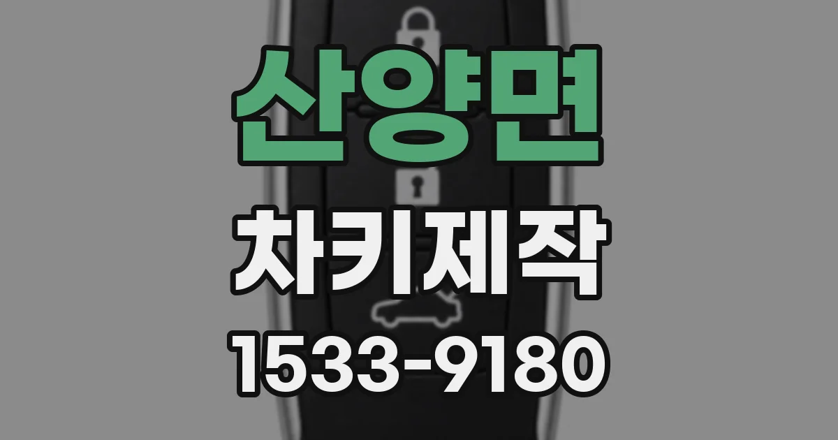 산양면 차키제작