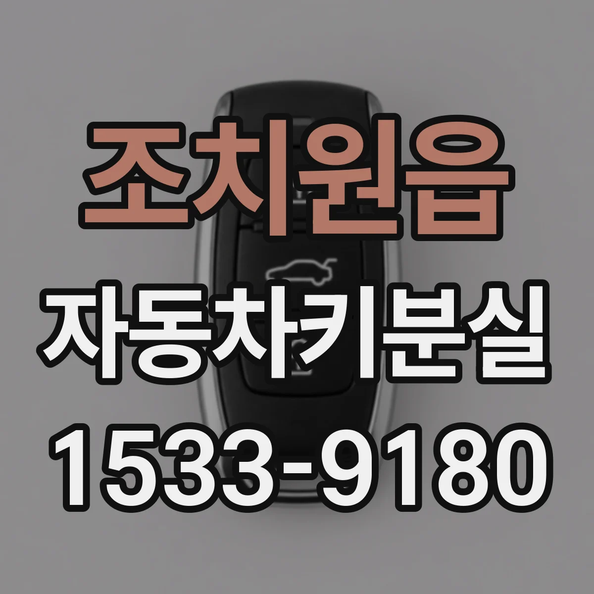 조치원읍 자동차키분실