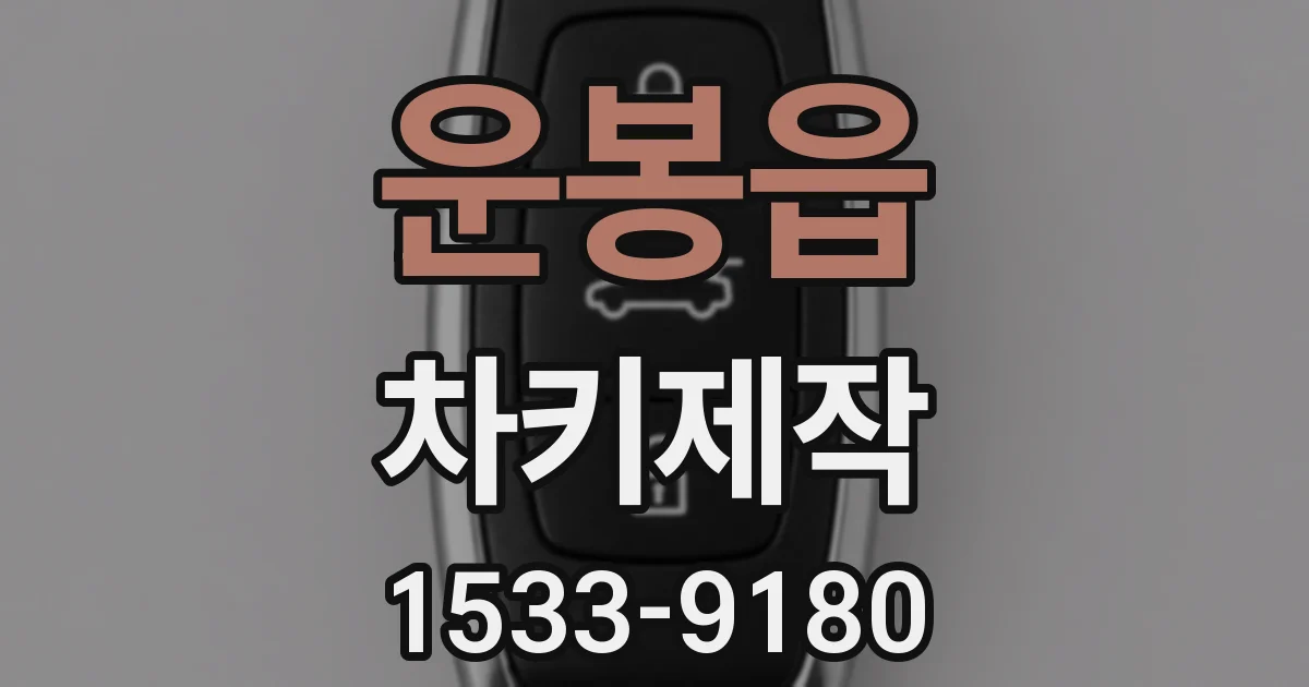 운봉읍 차키제작