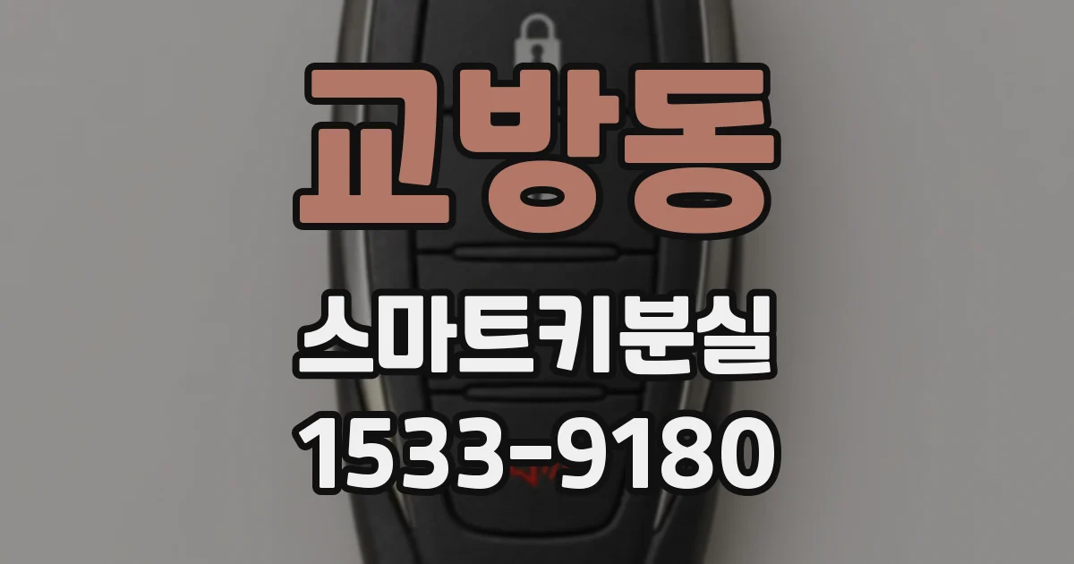 교방동 스마트키분실
