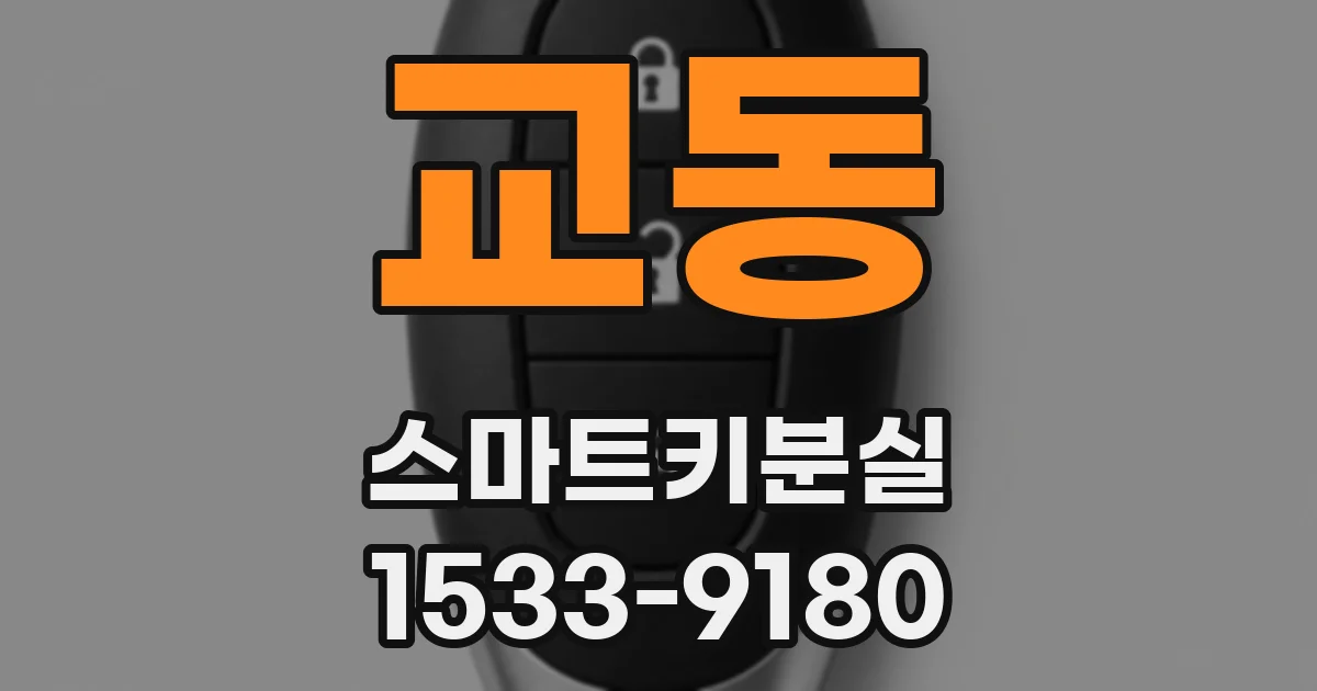 교동 스마트키분실