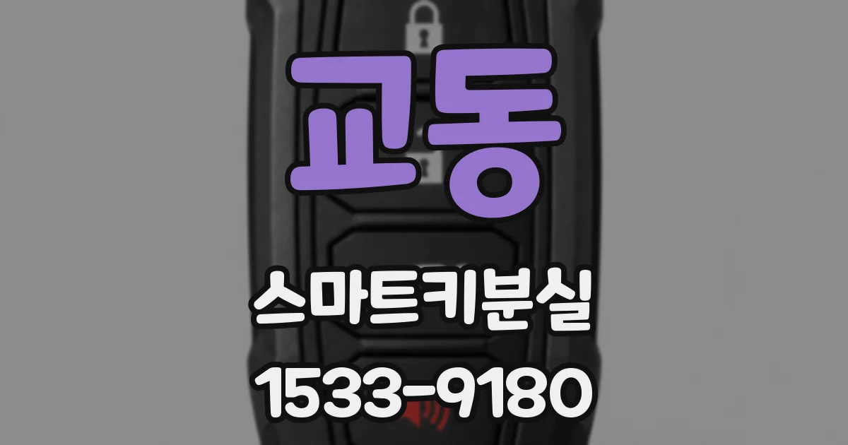 교동 스마트키분실