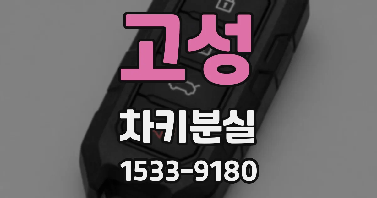 고성 차키분실